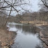 Leverett Pond, Olmsted Park
