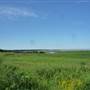 Fort Hill