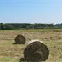 Appleton Farms