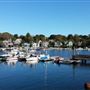 Rocky Neck Art Colony in Summer