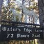 The Water's Edge