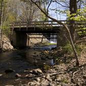 Lower Mill River Conservation Area, Amherst