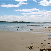 Lynn Shore Reservation