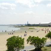 Constitution Beach