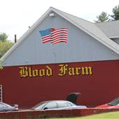 Blood Farm