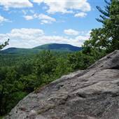 Leominster State Forest