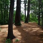 Squannacook River State Wildlife Management Area