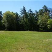 Freetown State Forest