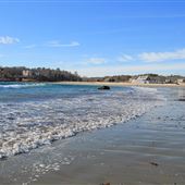 Magnolia (Gray Beach) Gloucester