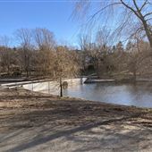 Pond at Larz Anderson Park