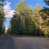 Camp Collier
