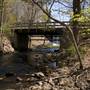 Lower Mill River Conservation Area, Amherst