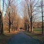 Brookwood Farm