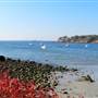 Magnolia Beach