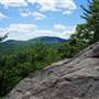 Leominster State Forest