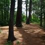 Squannacook River State Wildlife Management Area