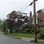 Long Ave