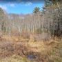 Acton Aboretum