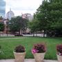 Elliot Norton Park