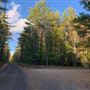 Camp Collier