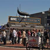 Long Wharf, Downtown