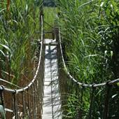 Giving Tree Gallery & Sculpture Garden