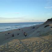Newcomb Hollow Beach