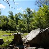 Profile Rock Freetown State Forest