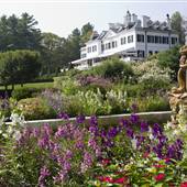 The Mount