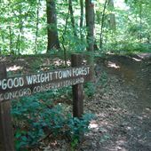 Hapgood Wright Town Forest & Fairyland Pond