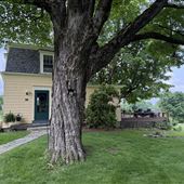 Stemple Residence