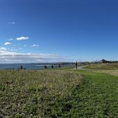 Harbor Front Park