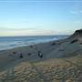 Newcomb Hollow Beach
