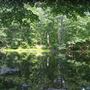 Groton Town Forest