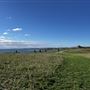 Harbor Front Park