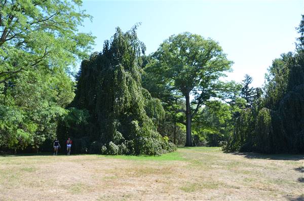 deCordova Sculpture Park and Museum
